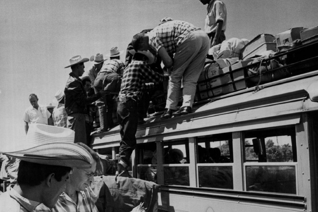 AS Memulai Deportasi Massal Migran Meksiko (9 Juni 1954) (3)